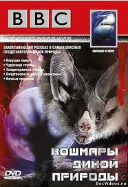 Кошмары дикой природы  смотреть онлайн